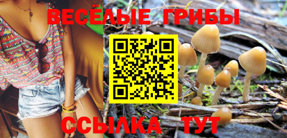 Галлюциногенные грибы GOLDEN TEACHER Мыски